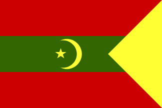 [Islamic national flag]